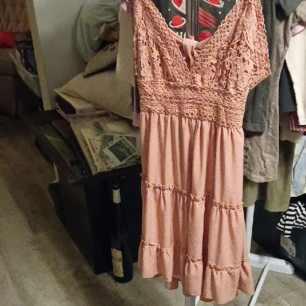 Elegant Lace Peach Dress